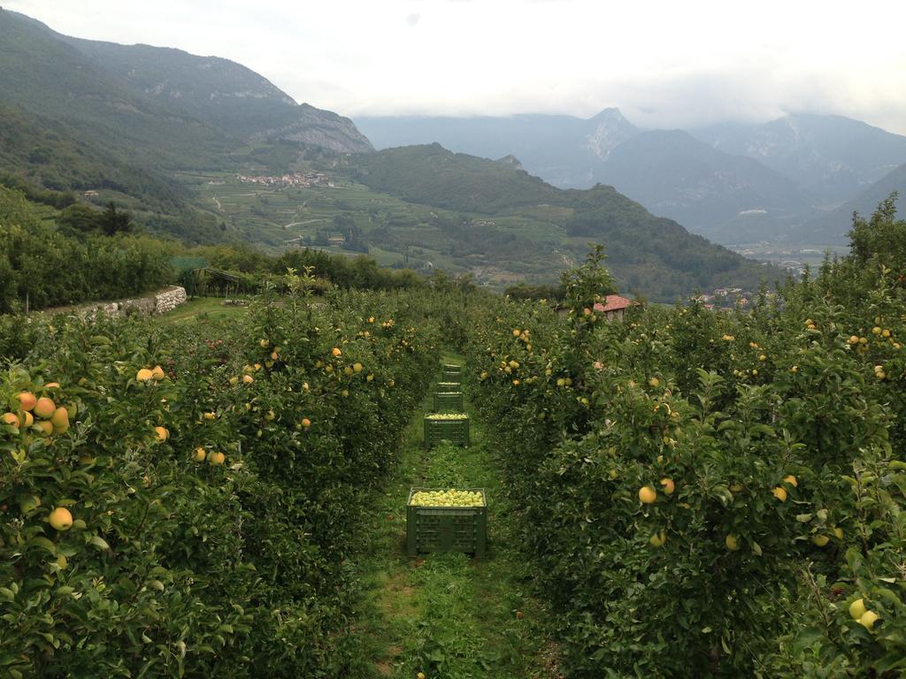 Agritur Le Pergole Hotel Villa Lagarina Buitenkant foto