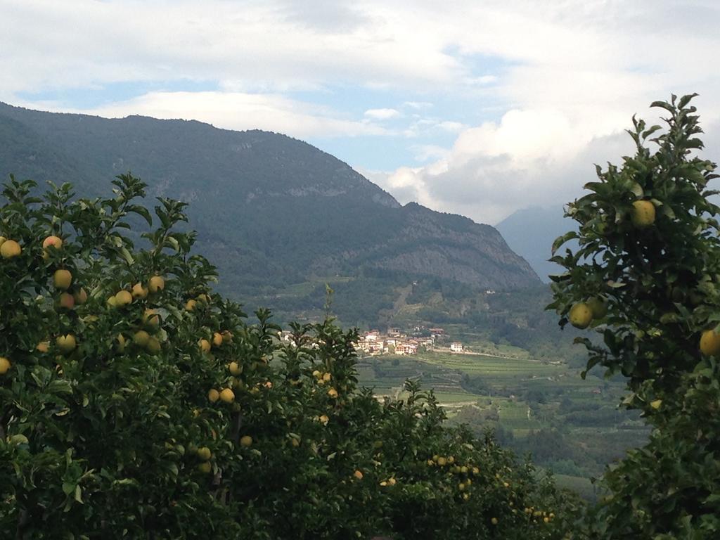 Agritur Le Pergole Hotel Villa Lagarina Buitenkant foto