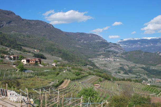 Agritur Le Pergole Hotel Villa Lagarina Buitenkant foto